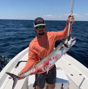 Meet your Posher, Jackson